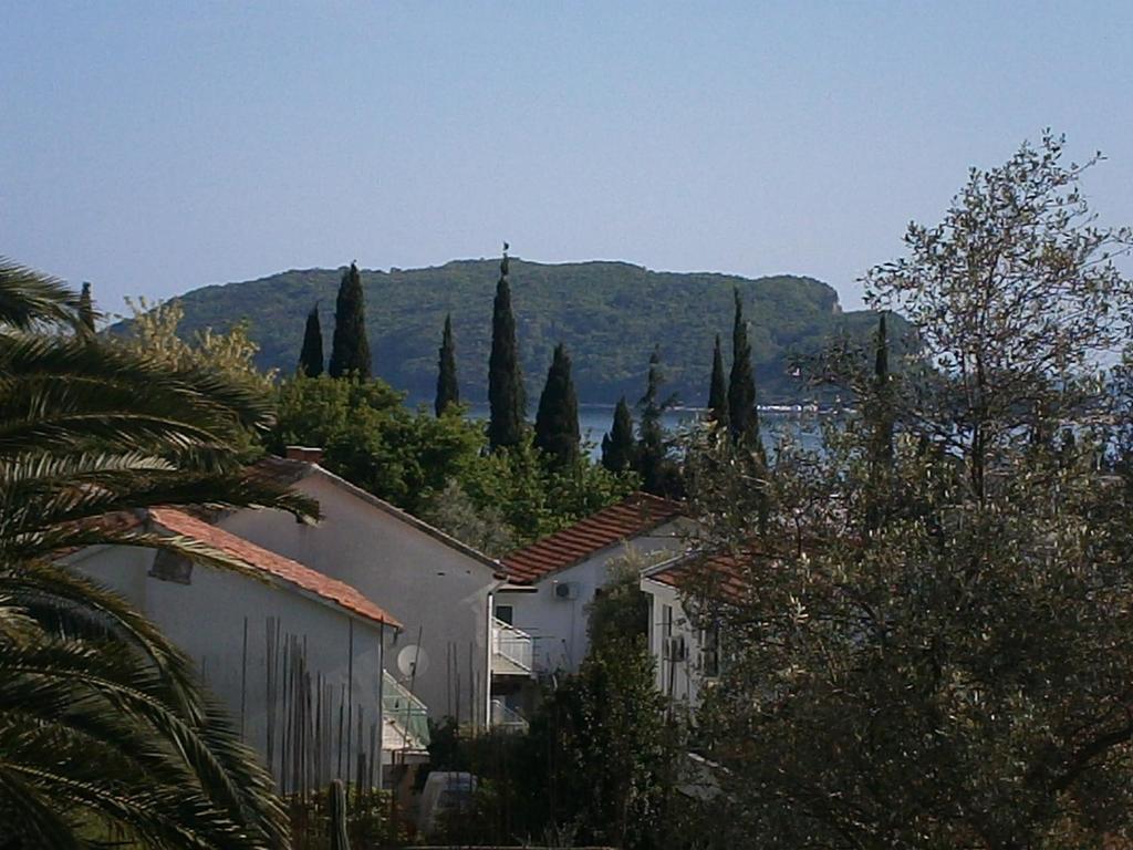 Mijovic Apartments Budva Pokoj fotografie